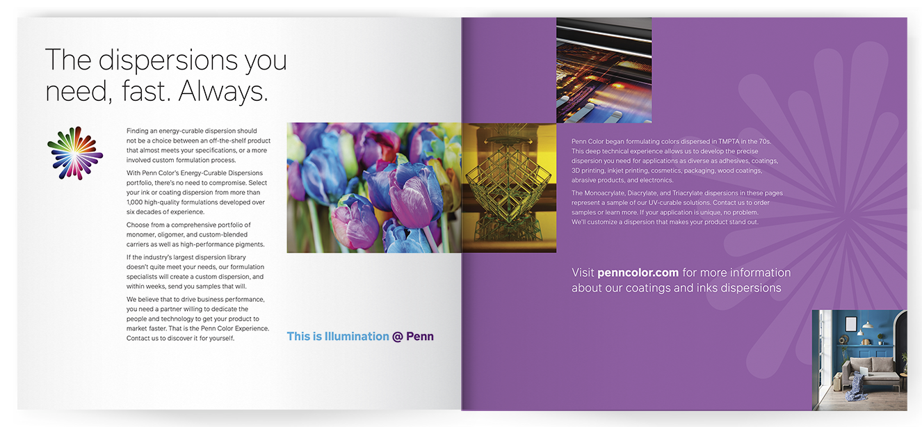 Photo of Color Dispersions Brochure